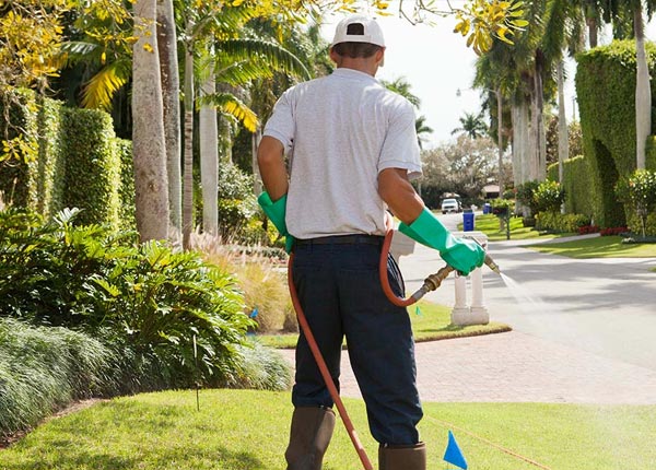 About Morgan City LA Pest Control